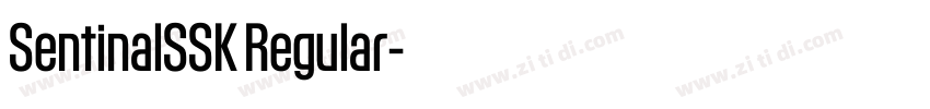 SentinalSSK Regular字体转换 SentinalSSK Regular字体转换